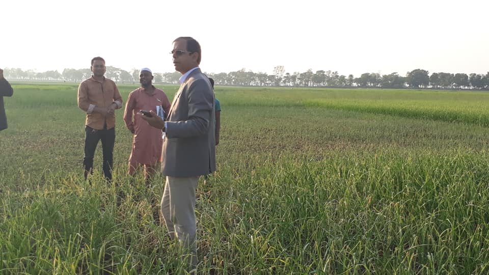 ক্ষতিগ্রস্থ কৃষকের পাশে সম্মানিত উপ-পরিচালক (ডিএই,ফরিদপুর) স্যার!